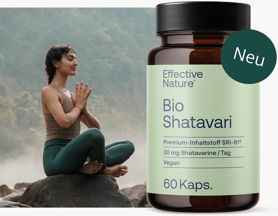 Shatavari